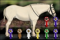 Horse Color:Red Dun Roan 