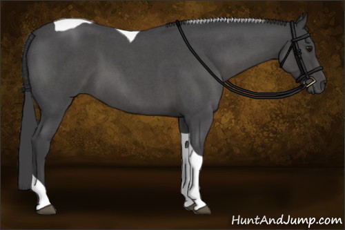 Horse Color:Smoky Blue Roan Tobiano 