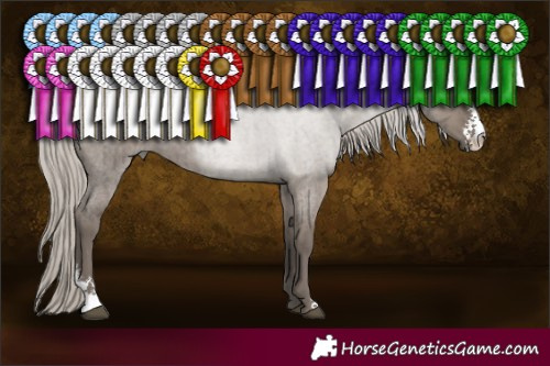 Horse Color:Silver Grullo Roan Sabino Brindle 