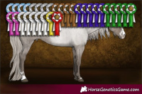 Horse Color:Silver Grullo Roan Sabino Brindle