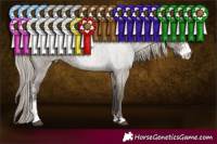 Horse Color:Silver Grullo Roan Sabino Brindle 