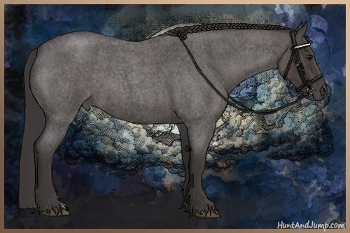 Horse Color:Smoky Blue Roan 