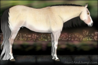 Horse Color:Gray Buckskin Roan Onyx Mushroom 