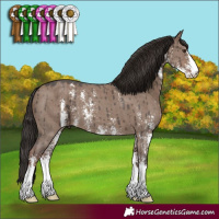 Horse Color:Liver Red Dun Sabino Brindle