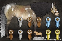 Horse Color:White Spotted Buckskin Roan Dun 