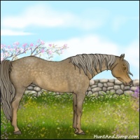 Horse Color:Chocolate Palomino Roan