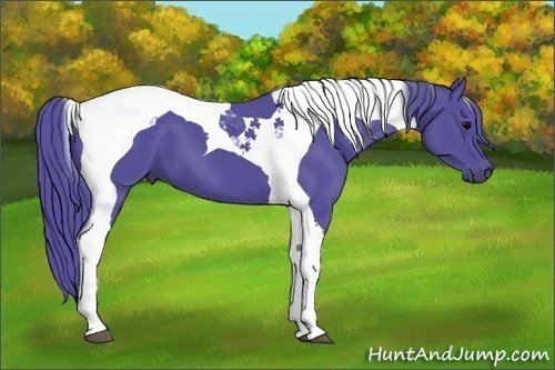Horse Color:Watercolor Black Tobiano