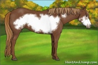 Horse Color:Chestnut Frame