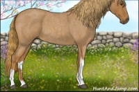 Horse Color:Red Roan Tobiano 