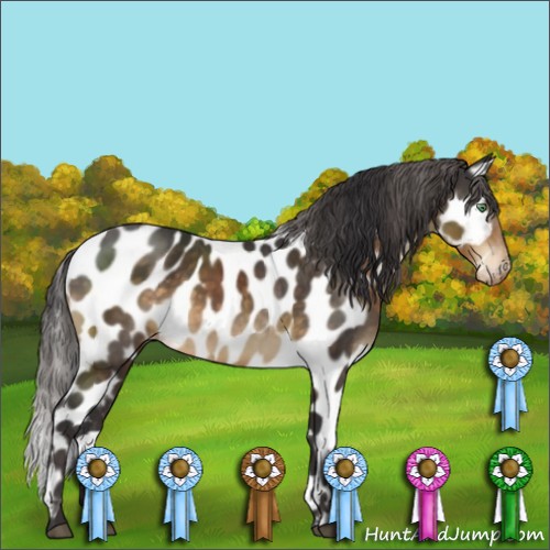 Horse Color:Buckskin Mushroom Leopard