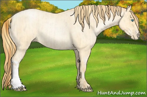 Horse Color:Buckskin Roan Pearl and Buckskin Roan Pearl