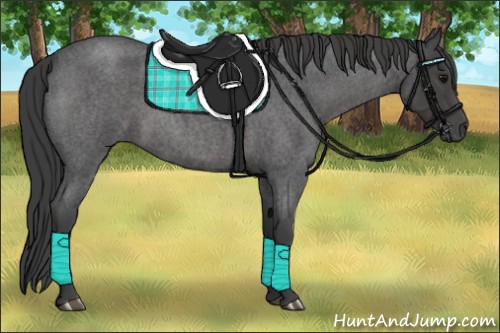 Horse Color:Smoky Blue Roan 