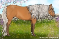 Horse Color:Silver Bay 