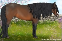 Horse Color:Brown Frame 