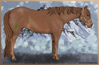 Horse Color:Chestnut Rabicano 