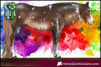 Horse Color:White Spotted Liver Chestnut 