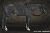 Horse Color:Black Sabino