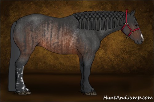 Horse Color:Brown Rabicano  and Brown Rabicano 