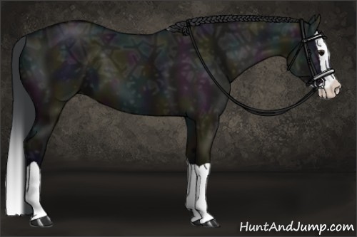 Horse Color:Midnight Grullo Ice Splash 
