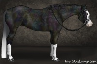 Horse Color:Midnight Grullo Ice Splash 