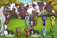Horse Color:White Spotted Chocolate Silver Black Chinchilla