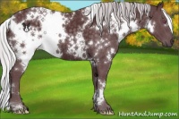 Horse Color:White Spotted Chocolate Silver Black Chinchilla