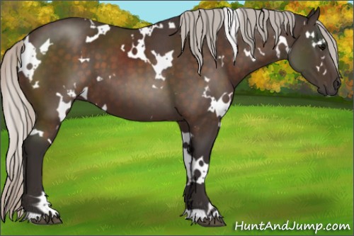 Horse Color:White Spotted Silver Brown 