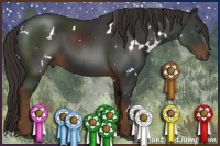 Horse Color:White Spotted Liver Chestnut