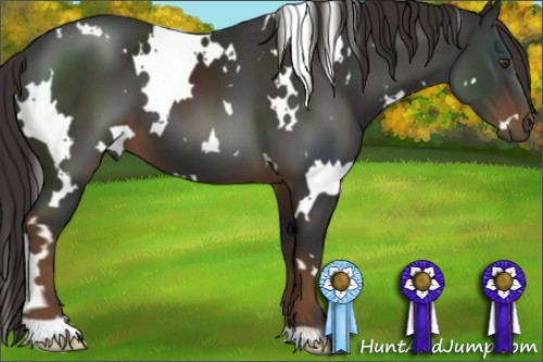 Horse Color:White Spotted Liver Chestnut 