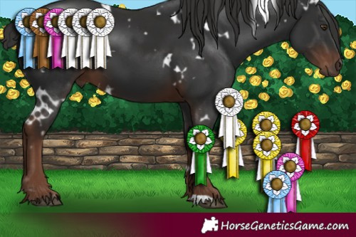 Horse Color:White Spotted Liver Chestnut 