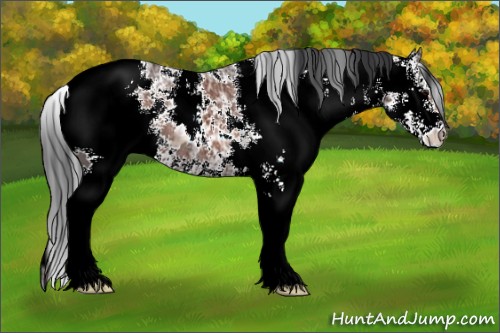 Horse Color:ERROR: UNKNOWN ANOMALY