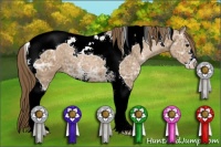 Horse Color:Black Ice Pearl Sabino Tobiano 