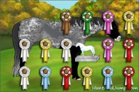 Horse Color:Black Ice Sabino Splash