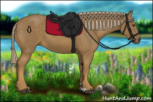 Horse Color:Chocolate Palomino 