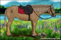 Horse Color:Chocolate Palomino 