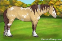 Horse Color:White Spotted Chocolate Buckskin Dun Splash 