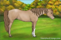 Horse Color:Black Pearl 