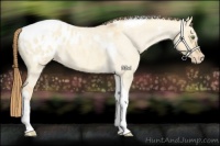 Horse Color:Gold Champagne Roan Dun Splash Tobiano Frame Appaloosa Rabicano 