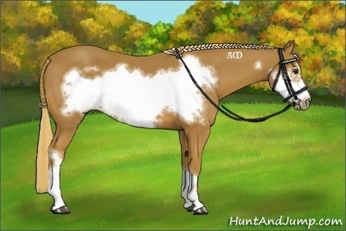 Horse Color:Chestnut Frame 