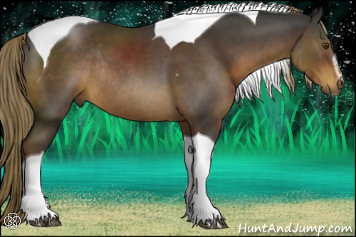 Horse Color:Liver Chestnut Sabino Tobiano Rabicano