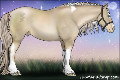 Horse Color:Chocolate Palomino Pearl Sabino Tobiano Rabicano