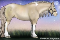 Horse Color:Chocolate Palomino Pearl Sabino Tobiano Rabicano