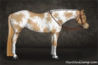 Horse Color:White Spotted Chestnut Pearl 