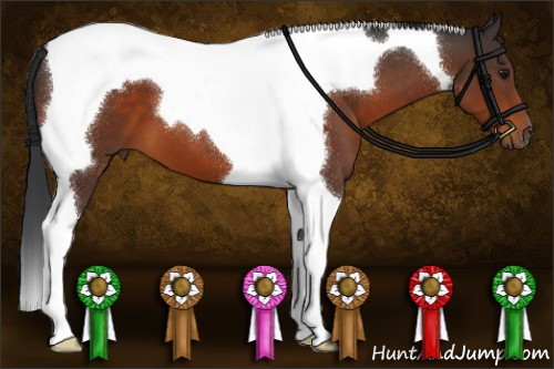 Horse Color:Brown Tobiano