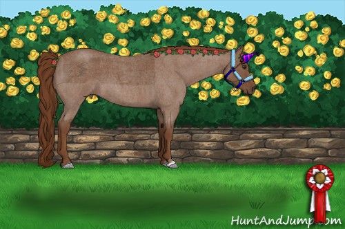 Horse Color:Red Roan 