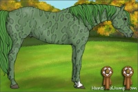 Horse Color:Watercolor Black Ice 