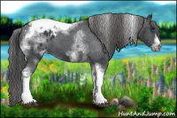 Horse Color:White Spotted Black Splash Tobiano Frame Blanket 
