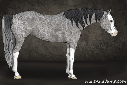 Horse Color:Black Ice Splash 
