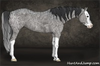 Horse Color:Black Ice Splash