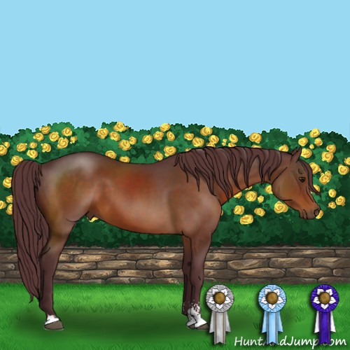 Horse Color:Chocolate Brown Sabino